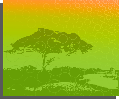 'Africa!' 2007