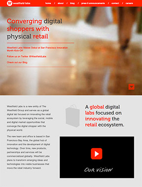 Brochure Website and Blog